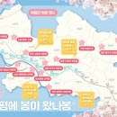 용천1리 다기능회관 | 양평 벚꽃 명소, 축제 정보, 벚꽃예상개화시기