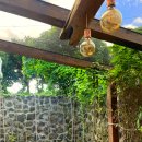 제주윤채 이미지