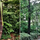 배다리행복나눔터 이미지