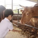 도고목장 이미지