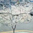 지경민안경원 이미지