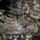 여좌장복경로당 | 🌸 진해 벚꽃 군항제 마지막날 전에~ 다녀온 후기(사람 많음 주의)