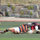 주경기장 잔디구장 이미지