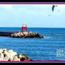 태원미트 - 52683 | 태원미트
