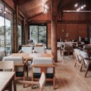 통나무파크 | 제주도 가성비 펜션, 통나무파크! 숙박객 입장료 80%할인 도치돌목장 후기까지