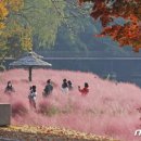 임실꽃화원 파이낸셜뉴스