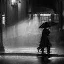 사랑의 소나기 이미지