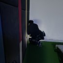 페스트방역