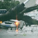 남부슈퍼 이미지