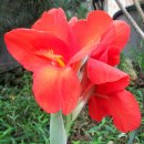 윤성농장 이미지