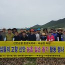 신안군청