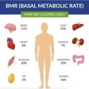 이루어짐 헬스 이미지