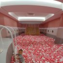 우리컨설팅행정사사무소 이미지