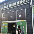 24시타이거배팅센터 이미지