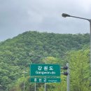 [애견동반캠핑장] 우리의 첫 캠핑장! 강원도 홍천 &#39;알프스밸리캠핑나라&#39;