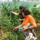 양명농장 이미지