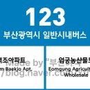 강서복지회관,우편집중국 12017 | 부산광역시 123번 버스 노선 정보