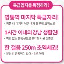 클래시아영통 오피스텔 이미지