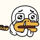 The따이소PC | 만약, 이 세계에 신이 있다고 한다면(모시카미) 공통 루트 리뷰