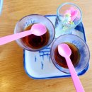 신대박식당 | 제주 외도 횟집 제주공항 오션뷰 맛집 신대박횟집 제주외도점 후기