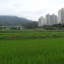 계곡경로당 이미지