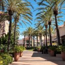 Irvine(어바인) | 미국 쇼핑 추천, 어바인 스펙트럼 센터 타깃(Target)에서 구입한 추천템