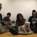 히트여관 이미지