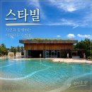 네이쳐소스 | 제주 스타빌 수영장 후기! 네이처풀·온천·조식·석식 내돈내산 솔직 리뷰