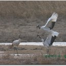 처음, 철원 이미지