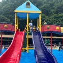 용인대석사명품태권도 이미지