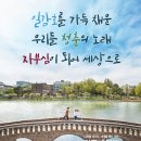 판디자인