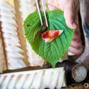 금데기식당 이미지