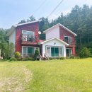 하이디코리아 이미지