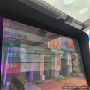 해피캣타운 고양이강아지 서울충무로점 | 고양이와 집사를 위한 축제 2021 제17회 궁디팡팡 캣페스타 SEOUL 후기 (양재AT) 2021.6.11~13