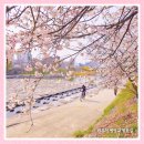 월운경로당 이미지