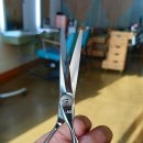 미미살롱 5.5 이미지