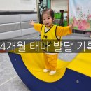 24개월 아기 성장기록｜태바 두돌 발달 & 영유아검진 후기 (태바성장기록)