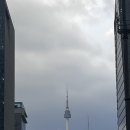 다이야몬드 크리닝 | [웨딩밴드] 찐 가성비샵 종로 웨딩밴드 ‘꼬모다이아몬드’에서 계약하고 온 후기