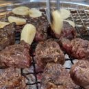 한우 사랑의 동산 이미지