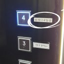 네일설레다