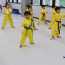 호림태권도장 이미지