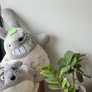 토토로초밥 이미지