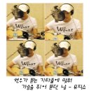[080506] 윤도현의 뮤직쇼-더넛츠 이미지