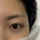 5984 | [상봉역속눈썹] 피어래쉬 :: LED펌포인트연장 만족 후기