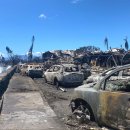 산불 참사 후 하와이주 마우이섬의 라하이나 이미지