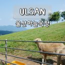 아미산농장 | 아이랑 가기 좋은 울산하늘목장, 부산 근교 동물원 가족 나들이