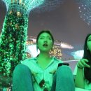카페가든스