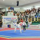 대한태권도체육관 이미지