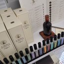 멍멍이샵 이미지