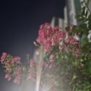 매호근린공원 이미지